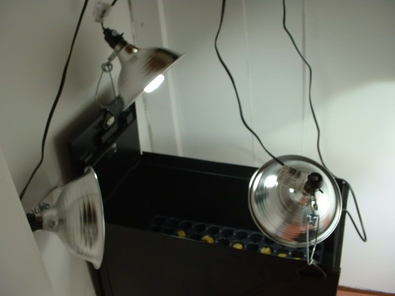 DSCF0026.jpg