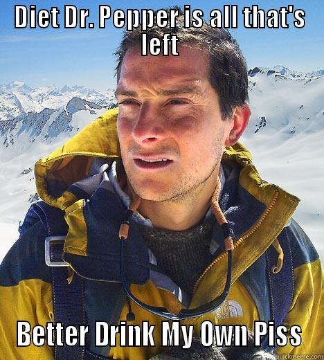 bear.jpg