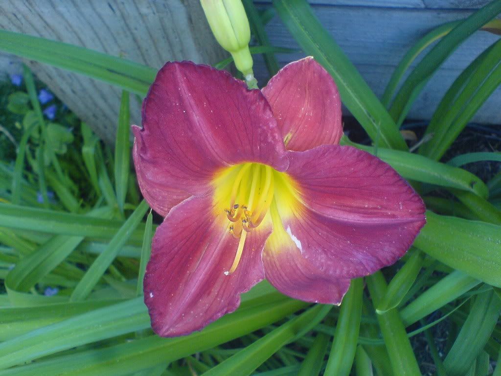 DSC00657.jpg