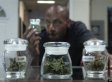 s-MARIJUANA-small.jpg