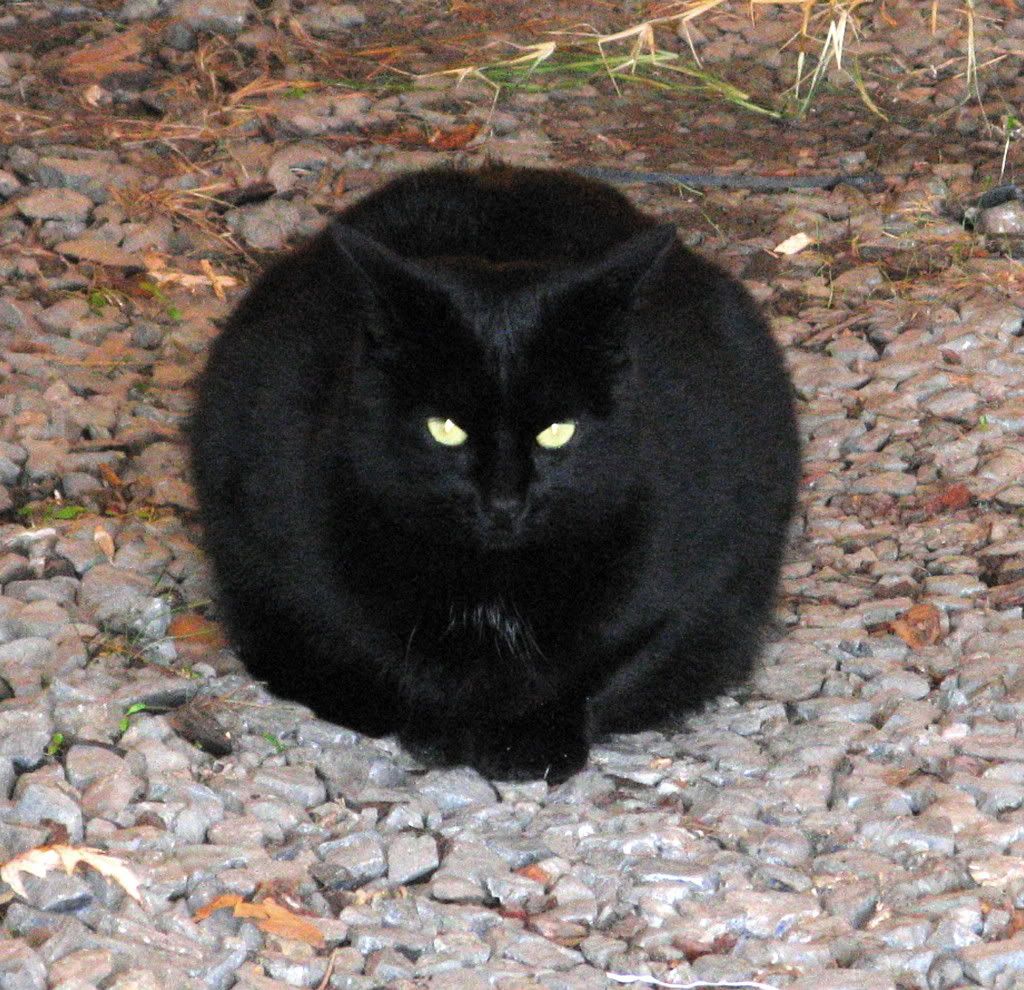 bb-1.jpg