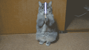 200_s.gif