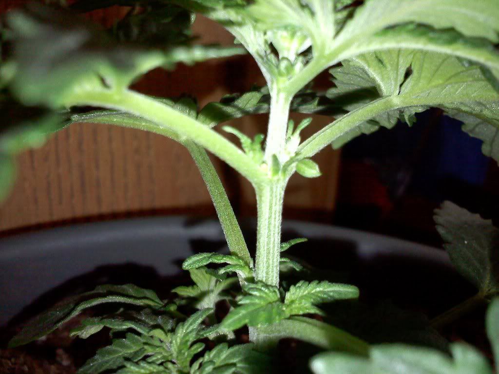 20111208130249.jpg