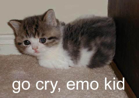 awww.jpg