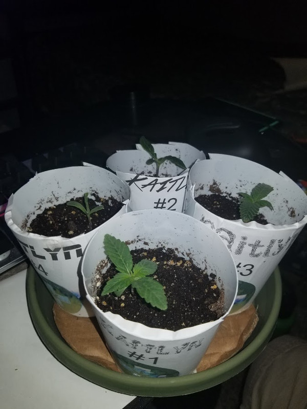day_7_group.jpg