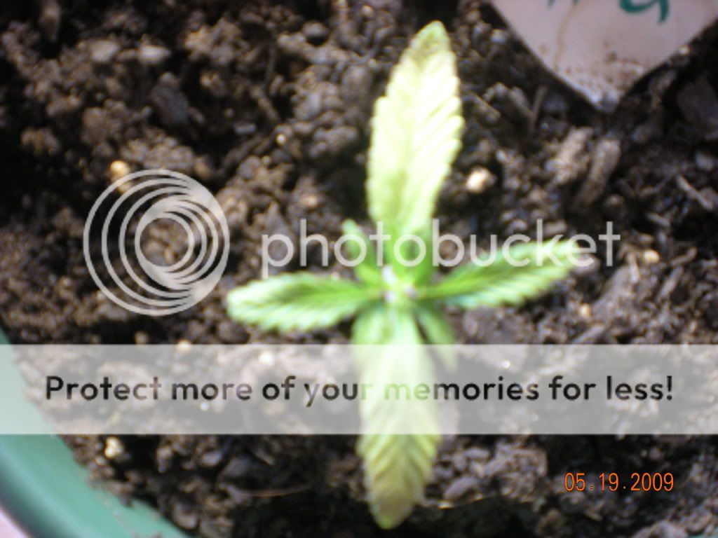 DSCN0954.jpg