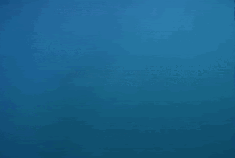 shark.gif