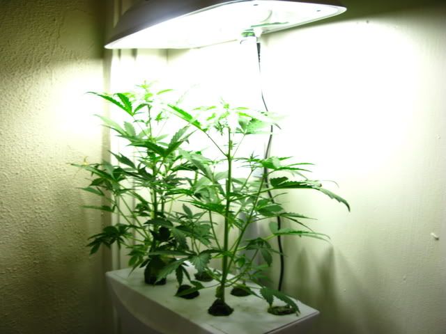 IMG_0744.jpg