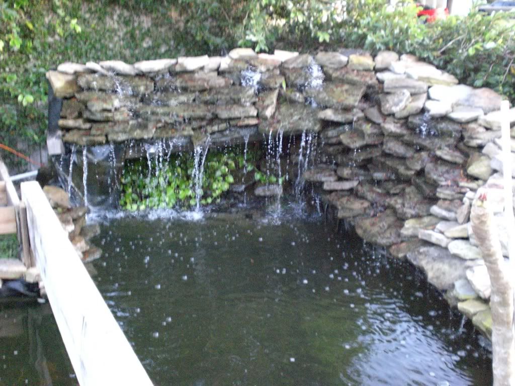 CIMG0206.jpg