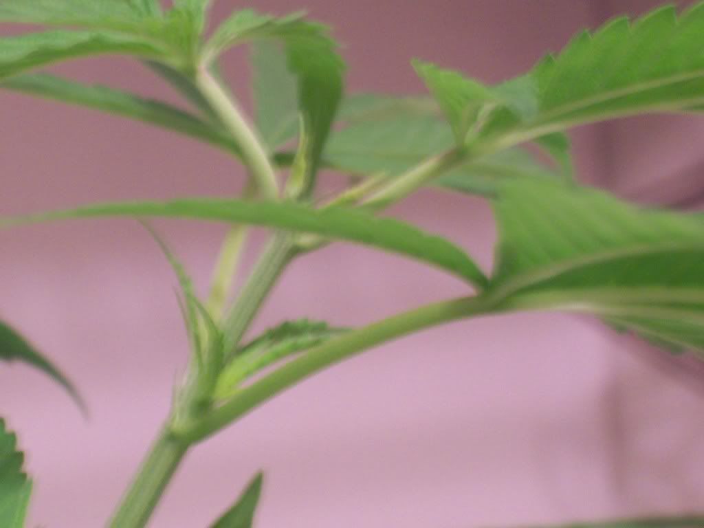 100_1908.jpg