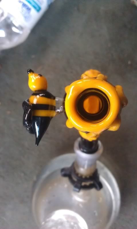 IMAG0155.jpg