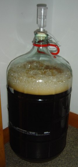 fermenting_beer_DSC00376.jpg
