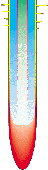 rootgrowsmall.gif