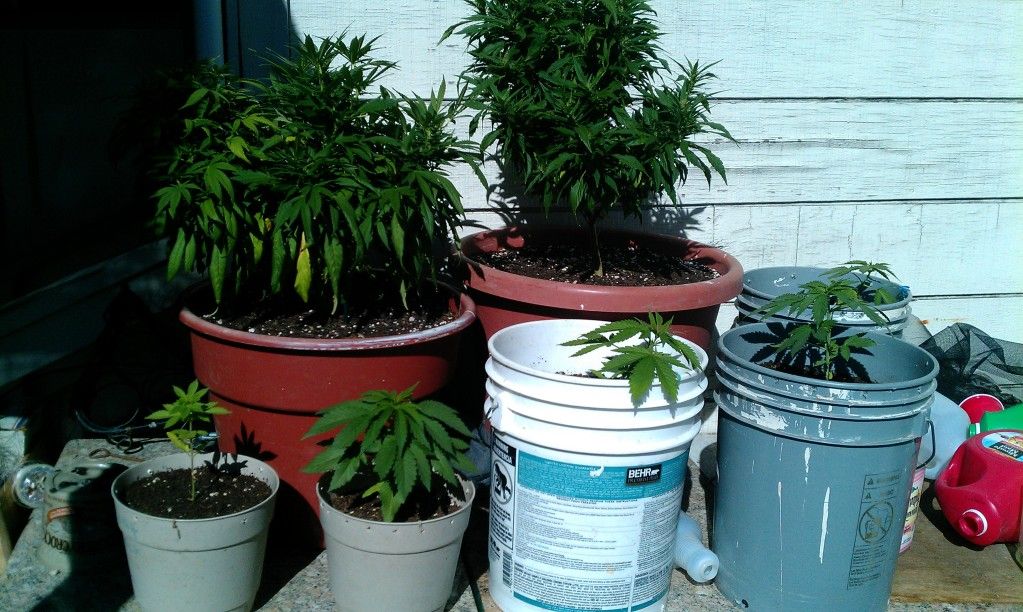 IMAG0254.jpg