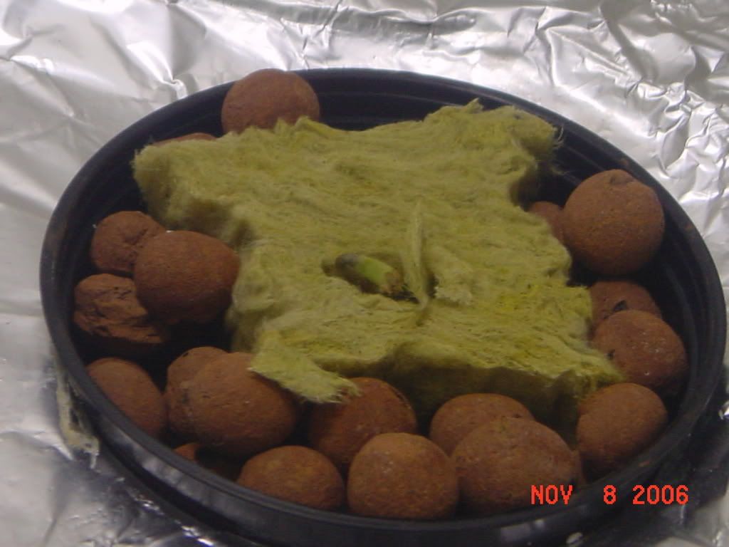 bc03.jpg
