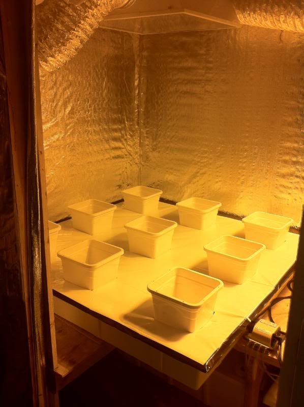 grow129.jpg