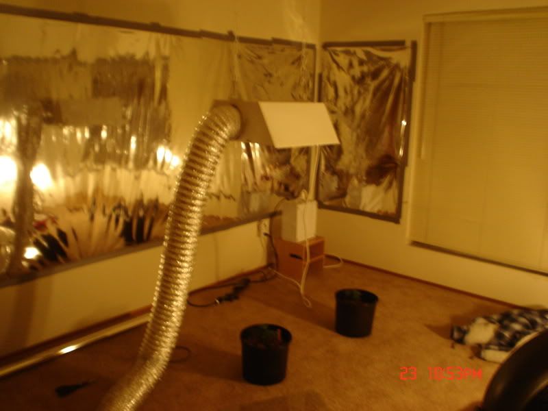 Picture063.jpg
