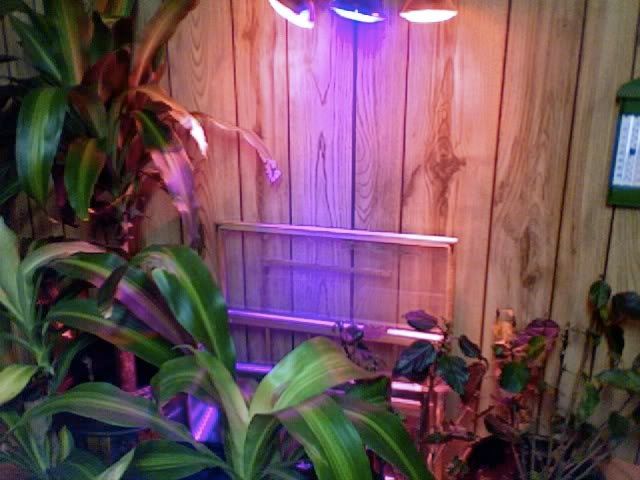 Photo30.jpg