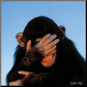 LaughingChimp.gif