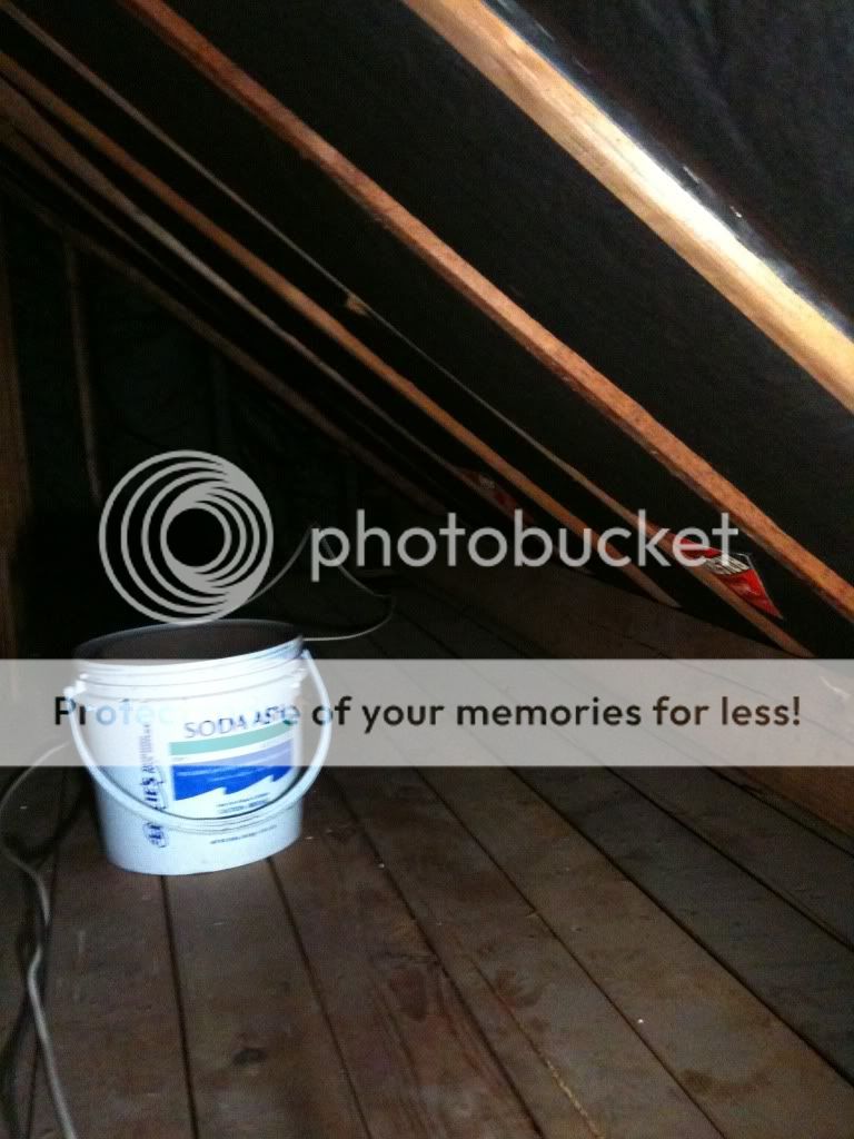 IMG_0162.jpg