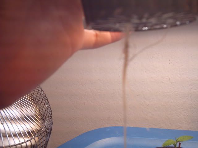 47299915.jpg
