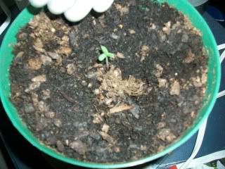 100_0497.jpg