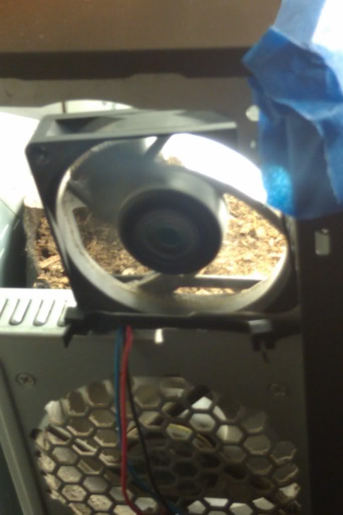 IMAG0071.jpg