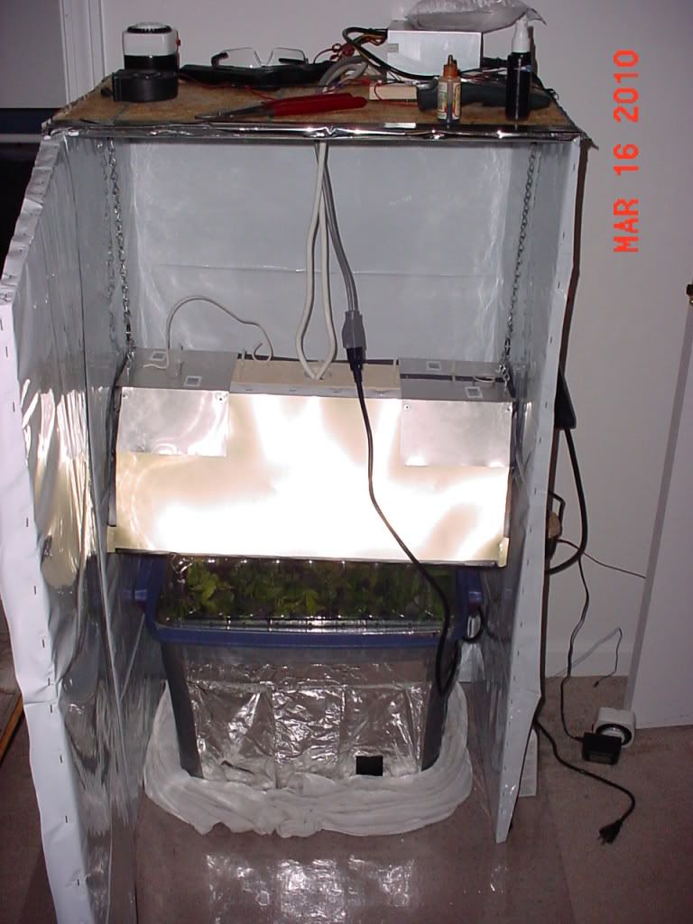 DSC00044.jpg