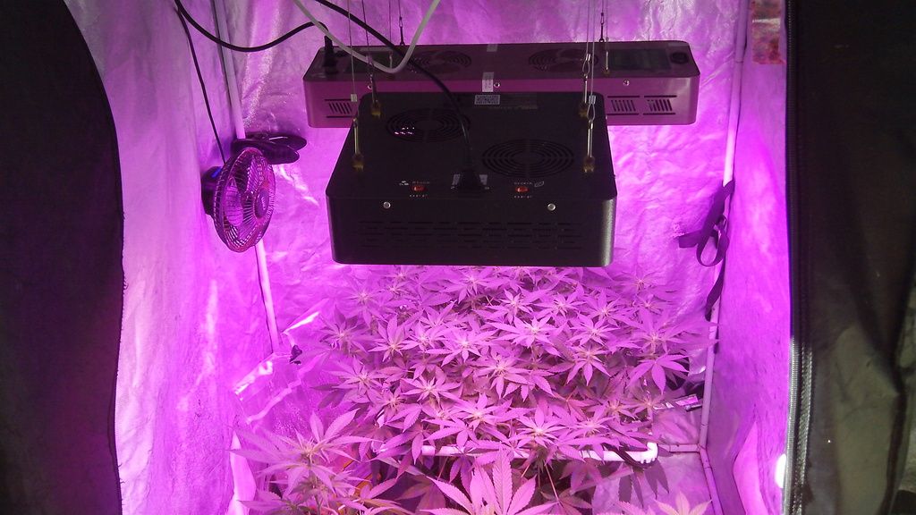 2%20-%20led%20lights_zps3tgptlb2.jpg