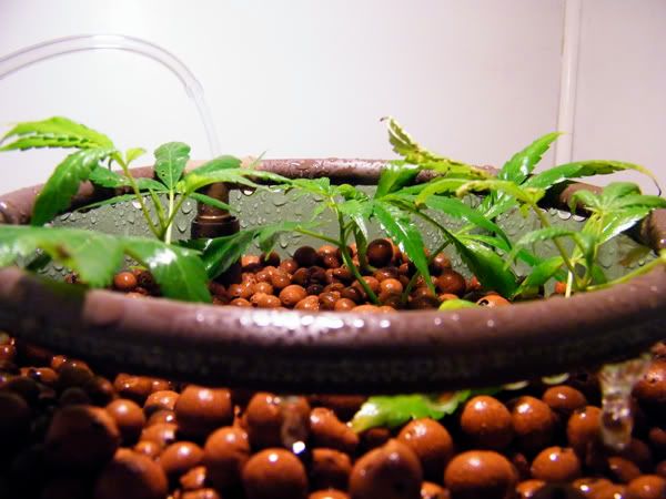 DSCF6867.jpg