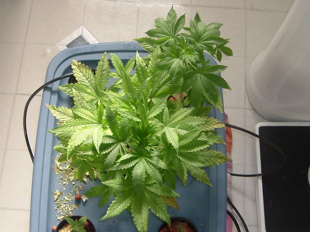 5-28-3.jpg