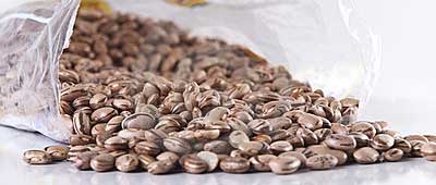 are-old-beans-ok-to-eat.jpg