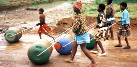 _hippo_roller1_471x231_3.jpg