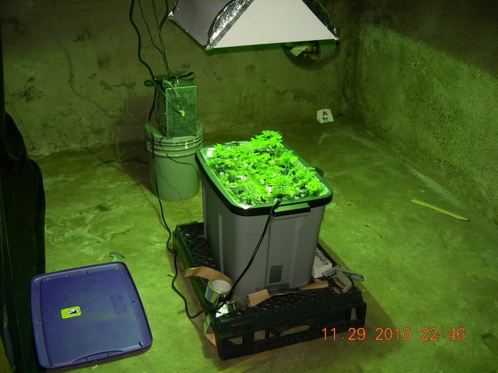 DSCN6947.jpg