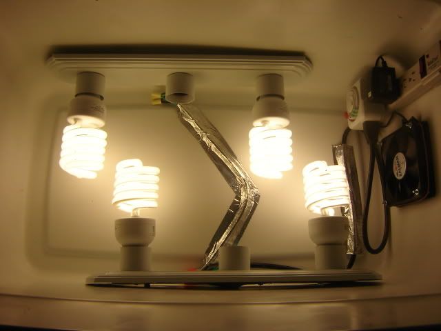 DSC08463.jpg