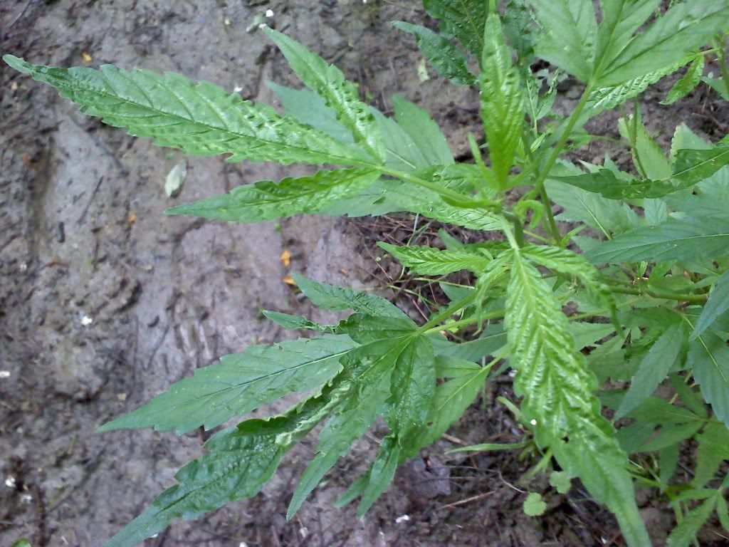 0618091647a-1.jpg