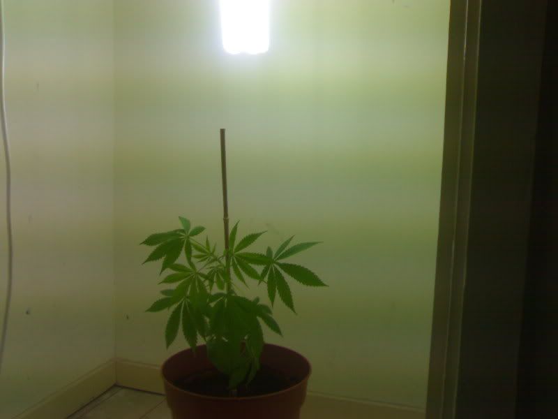 19092007157.jpg