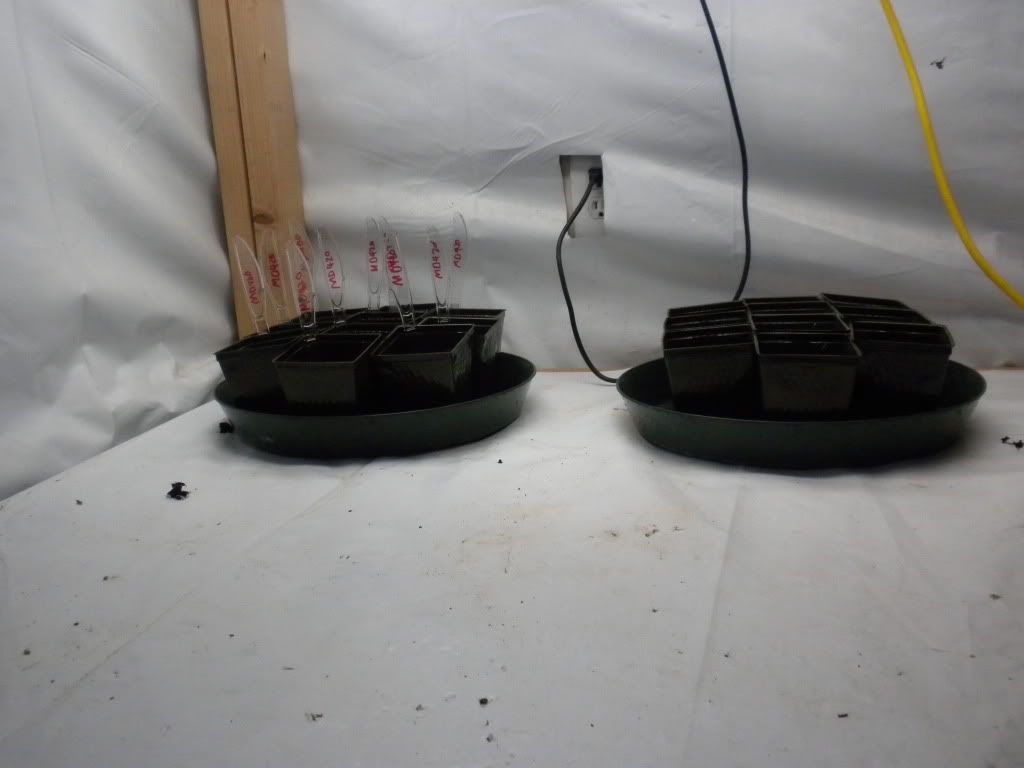 DSCN2711.jpg