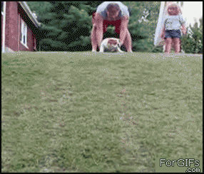 gif_02.gif