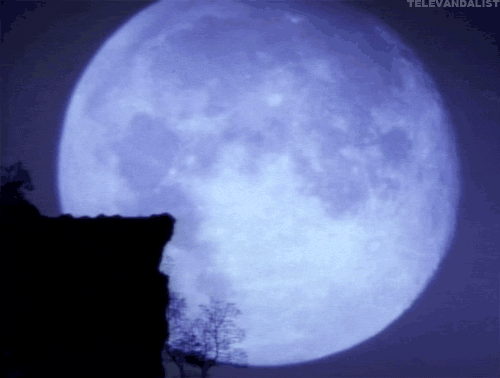 tumblr_lzevmjxTc31qedb29o1_500.gif