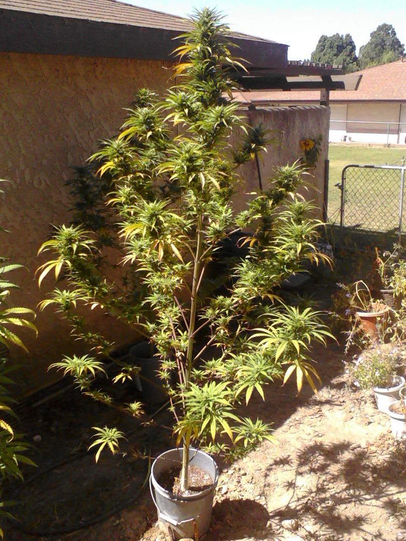 0824001043.jpg