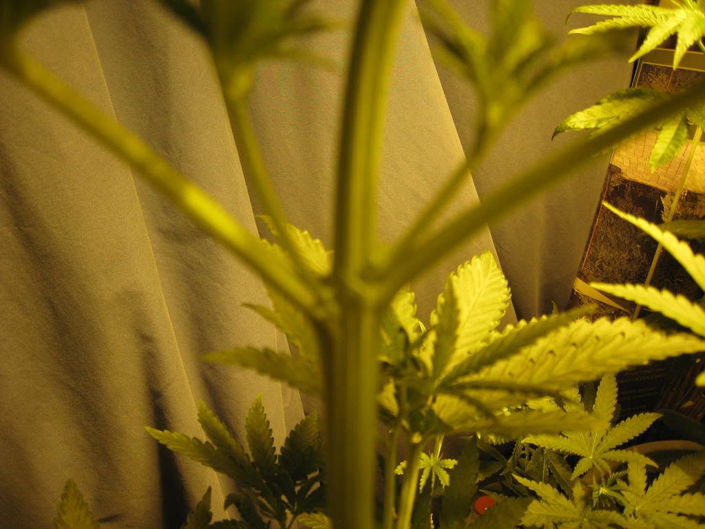 IMG_0053.jpg