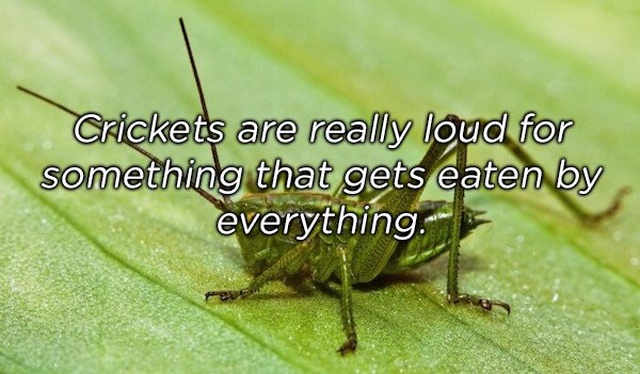 shower_thoughts_05.jpg