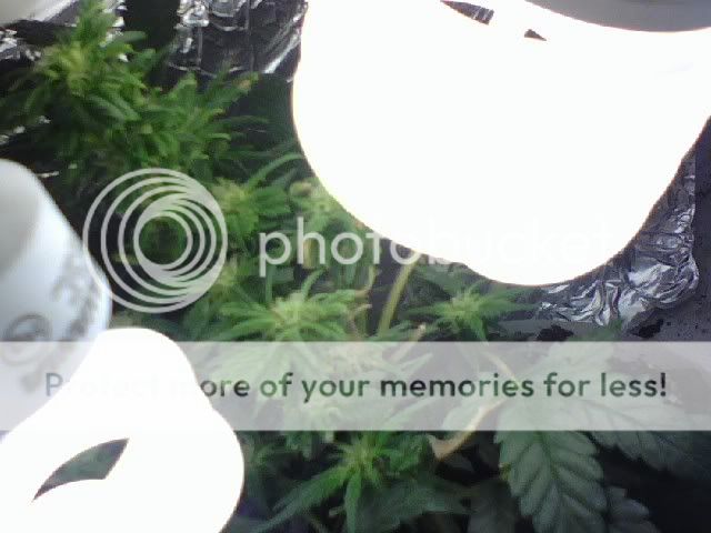 0805081057.jpg