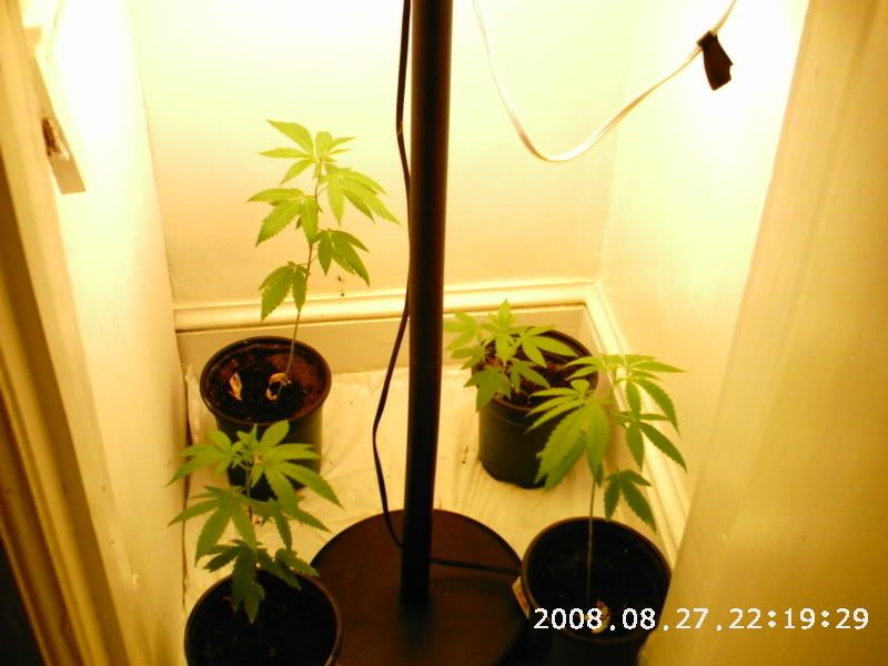 PHOT0080.jpg