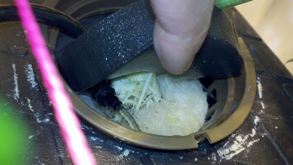 2010-12-04_02-03-50_306.jpg