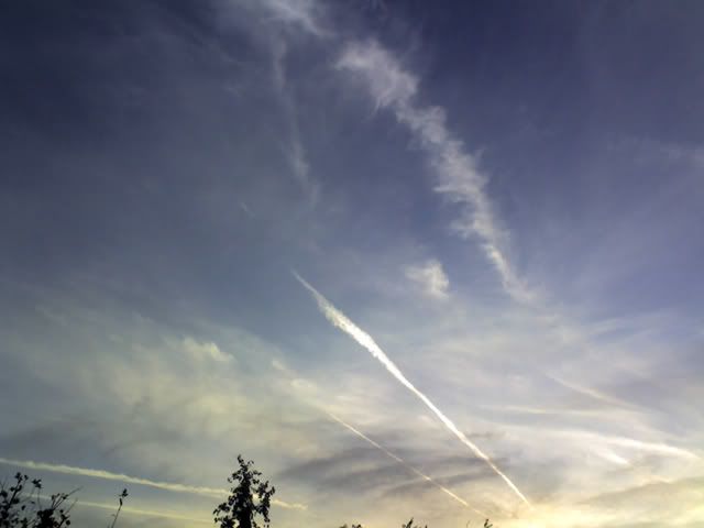 12-11-08_1700.jpg
