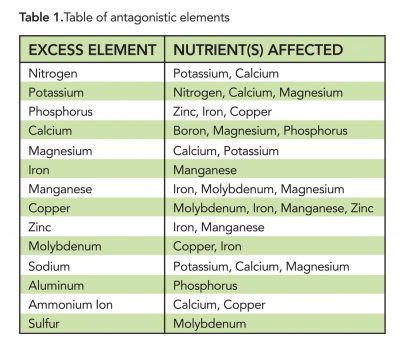 NutrientAntagonism-1-404x364.jpg