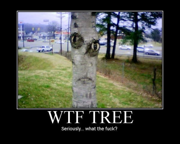 aomgwtfbbq-wtf-tree.jpg