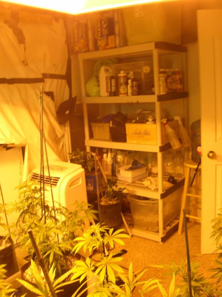 DSCN1188.jpg